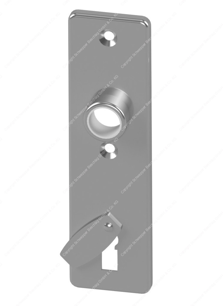 Short Plate With Key Hole And Cover Brass Gsv No 6645 A